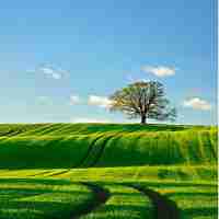 top网‍站​alexa排‌名‍